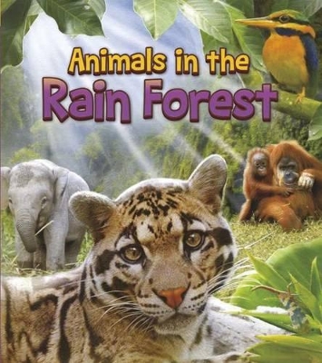 Animals in the Rain Forest book