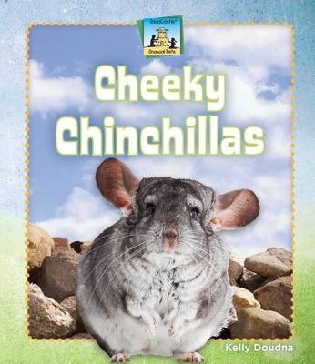 Cheeky Chinchillas book