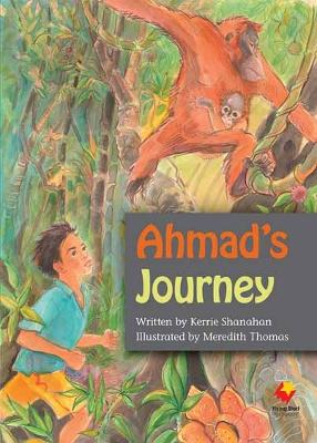 Ahmad? Journey book