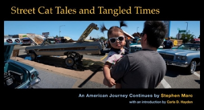 Street Cat Tales and Tangled Times: An American Journey Continues book