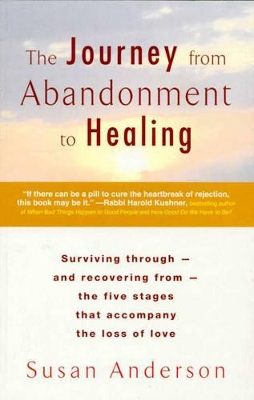 Journey from Abandonment to Healing book