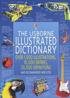 The Usborne Illustrated Dictionary book