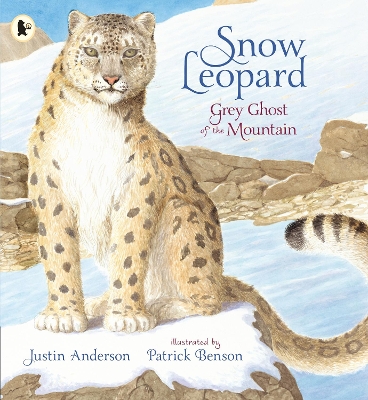 Snow Leopard: Grey Ghost of the Mountain book