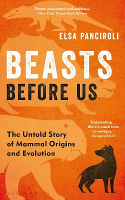 Beasts Before Us: The Untold Story of Mammal Origins and Evolution book