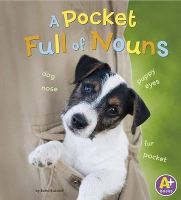 Pocketful of Nouns book