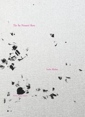 Sascha Weidner book