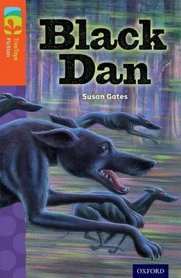 Oxford Reading Tree TreeTops Fiction: Level 13 More Pack A: Black Dan book
