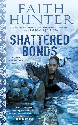 Shattered Bonds book