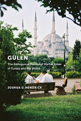 Gulen by Joshua D. Hendrick