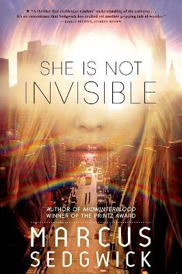 She Is Not Invisible book