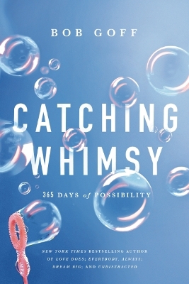 Catching Whimsy: 365 Days of Possibility book