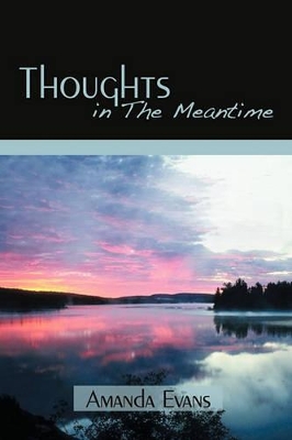 Thoughts in the Meantime book