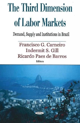 Third Dimension of Labor Markets book