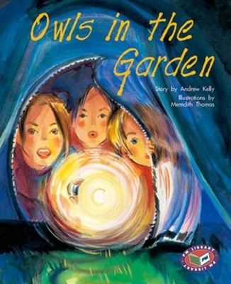 Owls in the Garden book