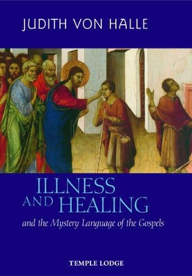 Illness and Healing and the Mystery Language of the Gospels book