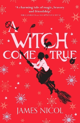 A Witch Come True book