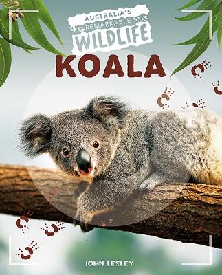 Australia's Remarkable Wildlife: Koala book