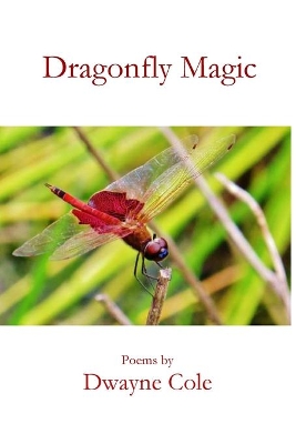 Dragonfly Magic book