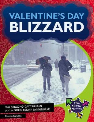 Valentine's Day Blizzard book