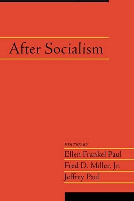 After Socialism: Volume 20, Part 1 book