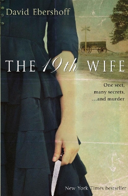 19th Wife book