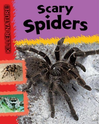 Scary Spiders book