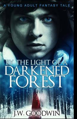 By the Light of a Darkened Forest by J W Goodwin