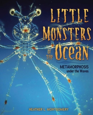 Little Monsters of the Ocean book