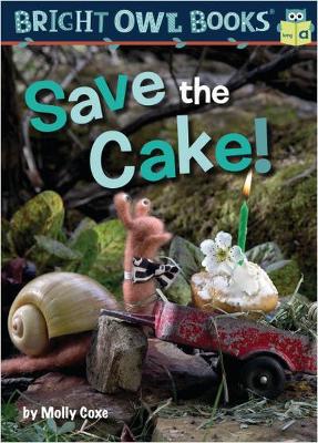 Save the Cake! book