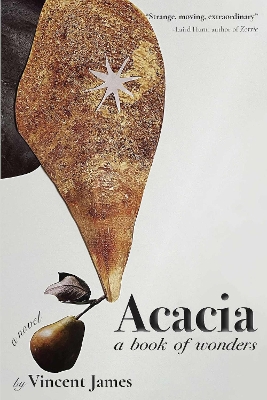 Acacia, a Book of Wonders: A Novel book