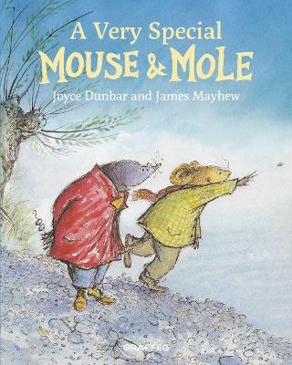 Mouse and Mole: A Very Special Mouse and Mole by Joyce Dunbar