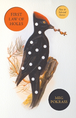 First Law of Holes: New and Selected Stories book