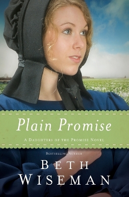 Plain Promise book