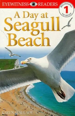 Eyewitness Readers Level 1: A Day At Seagull Beach book
