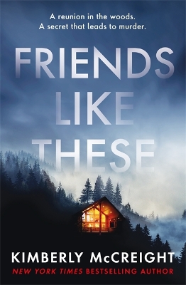 Friends Like These by Kimberly McCreight