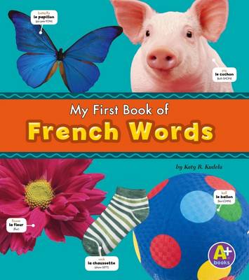 Bilingual Picture Dictionaries Pack A of 6 book