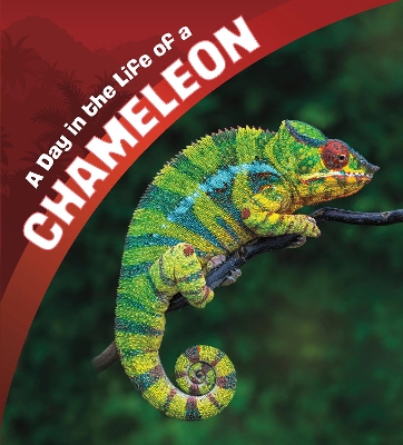 A Day in the Life of a Chameleon book