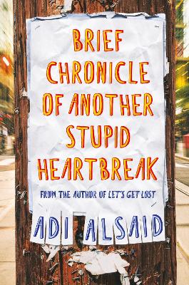 Brief Chronicle of Another Stupid Heartbreak book