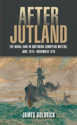 After Jutland: The Naval War in North European Waters, June 1916-November 1918 book