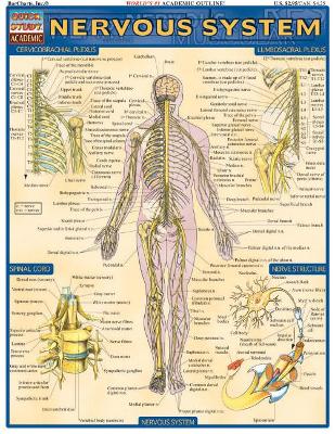 Nervous System book