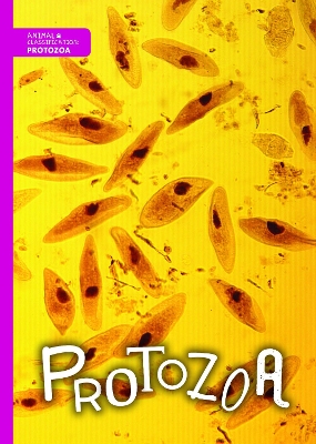 Protozoa by Joanna Brundle