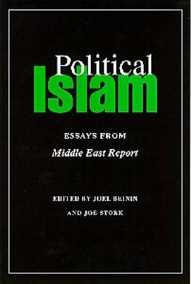 Political Islam by Joel Beinin