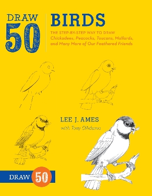 Draw 50 Birds book