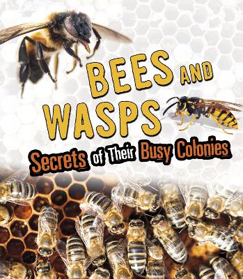 Bees and Wasps: Secrets of Their Busy Colonies by Sara L. Latta