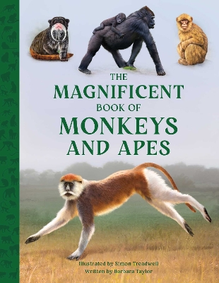 The Magnificent Book of Monkeys and Apes book