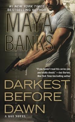 Darkest Before Dawn book