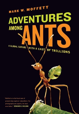 Adventures among Ants book