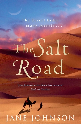 The Salt Road book