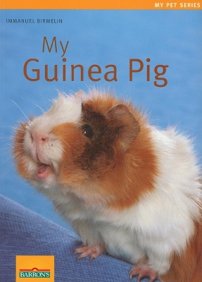 My Guinea Pig book