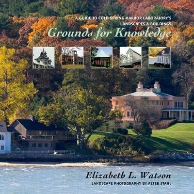 Grounds for Knowledge book